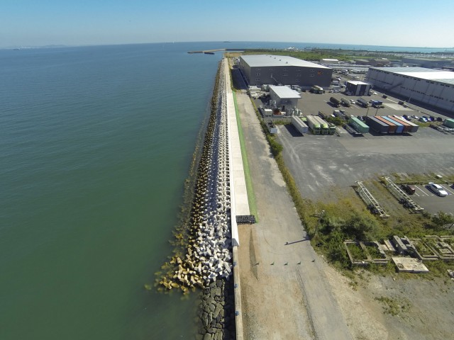 P0005562